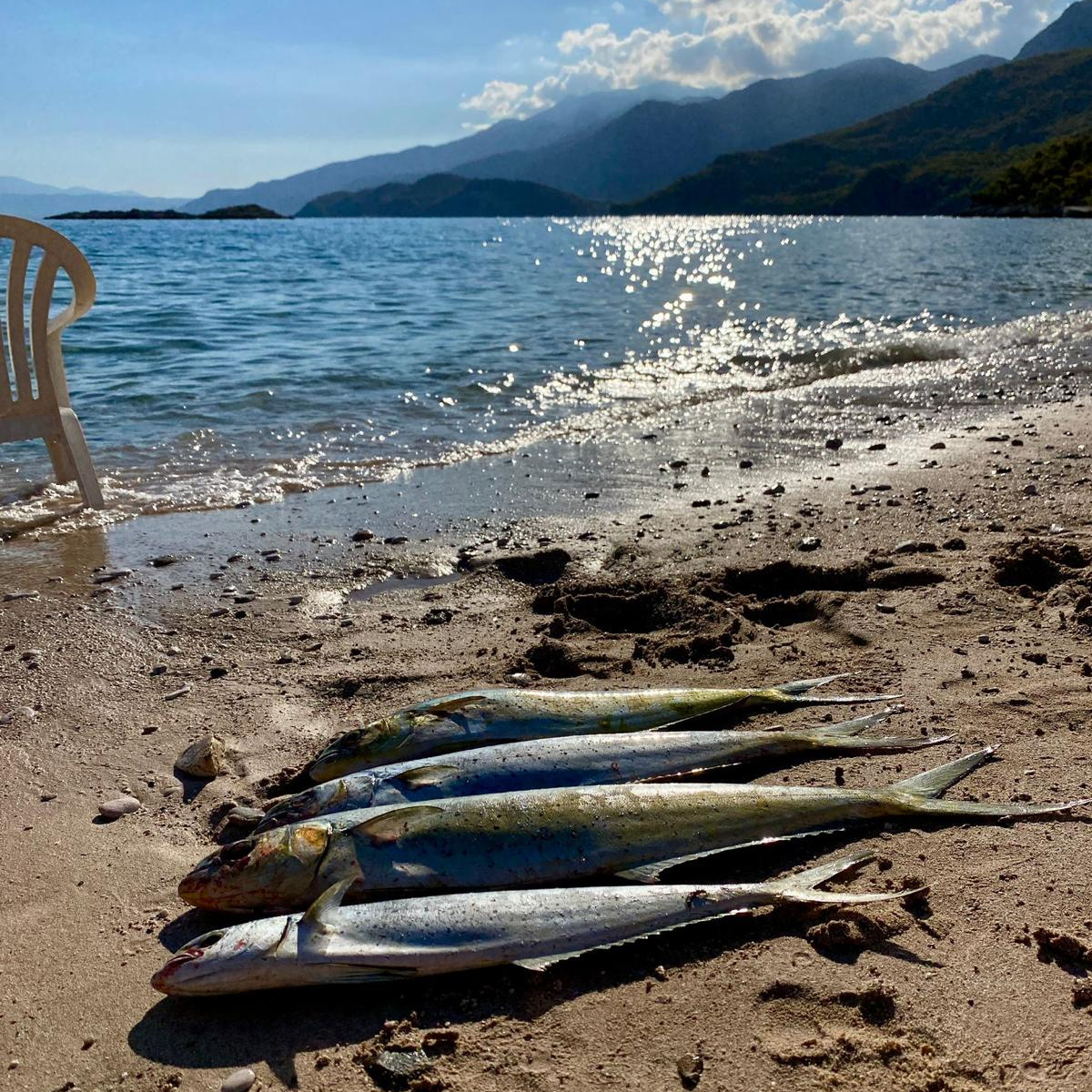 Połowy ryb nad morzem – aktywny wypoczynek w Strava Park Grecja